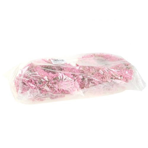 Floristik24 Echeverienkranz Rosa Ø18cm 4 pezzi