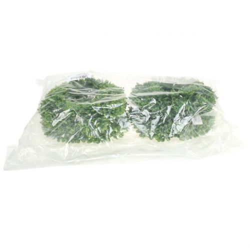 Floristik24 Corona Echeveria verde Ø18cm 4pz