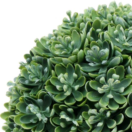 Floristik24 Palla Echeveria verde artificiale Ø18cm