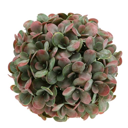 Floristik24 Palla Echeveria verde artificiale, rosso Ø22cm