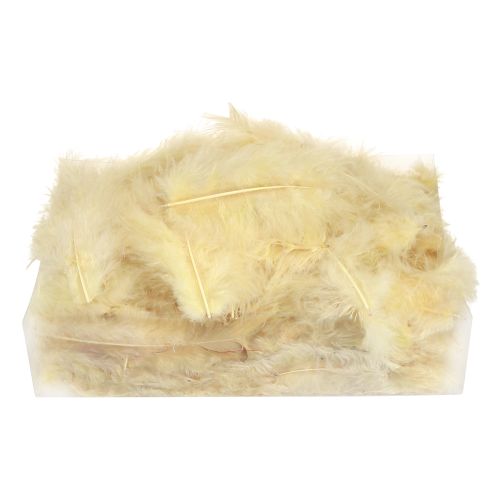 Prodotto Piume vere per l'artigianato in giallo chiaro 5 cm - 10 cm 20 g