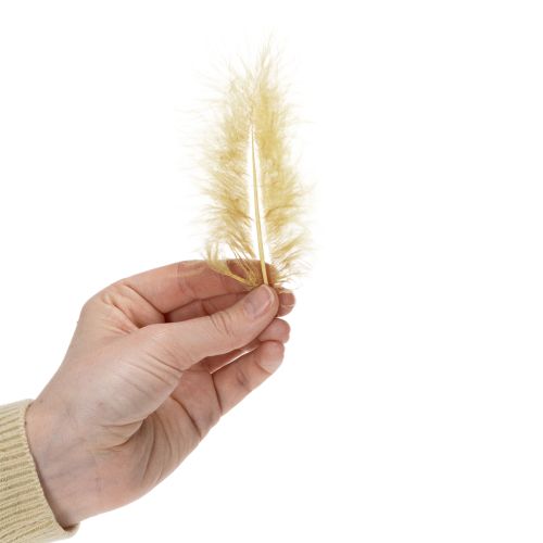 Prodotto Piume vere per lavori artigianali in giallo chiaro, 5 cm – 10 cm, 20 g