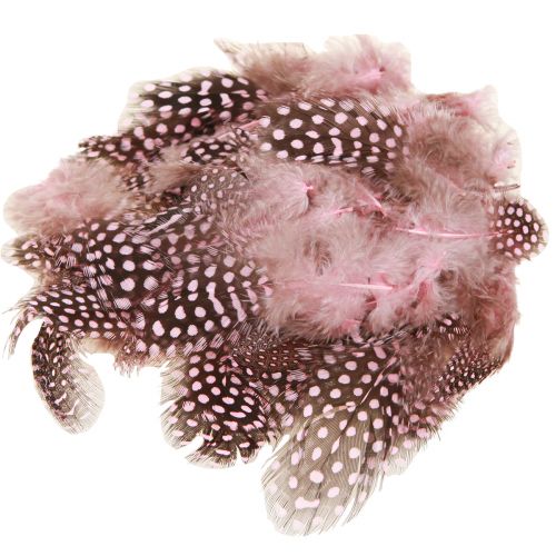 Prodotto Vere piume di faraona rosa con pois 4-12 cm 100 pezzi