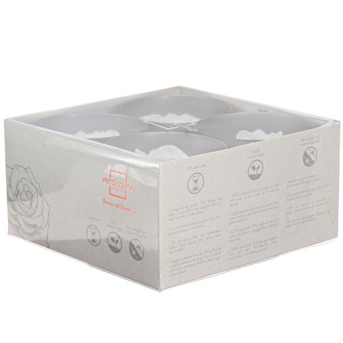 Prodotto Teste di rosa vere Infinity Roses White Premium Ø8,5cm 4 pezzi