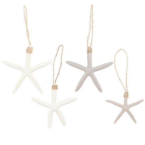 Floristik24 Appendiabiti marittimo con vera stella marina grigio bianco 10-14 cm 4 pezzi