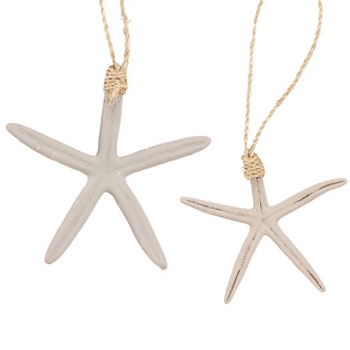 Prodotto Appendiabiti marittimo con vera stella marina grigio bianco 10-14 cm 4 pezzi