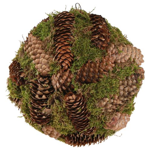 Prodotto Palla decorativa coni veri con decorazione naturale di muschio Ø25cm H25cm