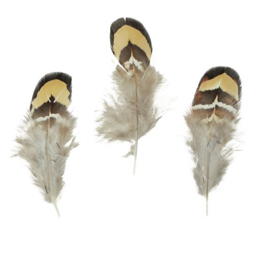 Prodotto Piume decorative di vere piume di uccello a strisce 3-4 cm 60 pezzi