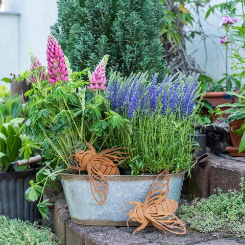 Floristik24 Decorazione da giardino patina ape L15cm