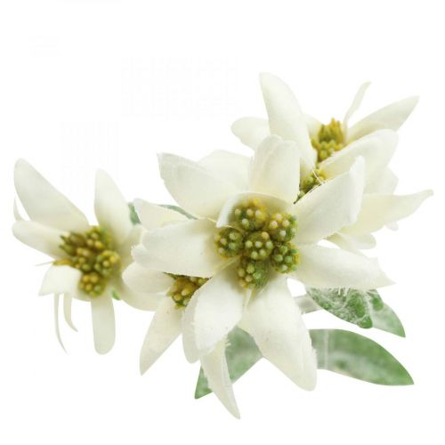 Prodotto Fiore artificiale Edelweiss bianco floccato 38cm
