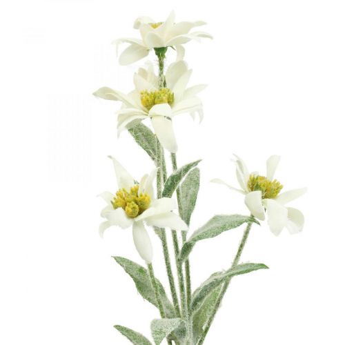 Fiore artificiale Edelweiss bianco floccato 38cm