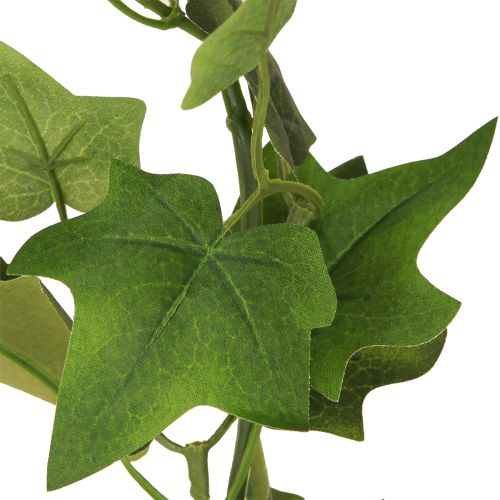 Prodotto Ghirlanda di edera artificiale verde con 2 occhielli L150cm