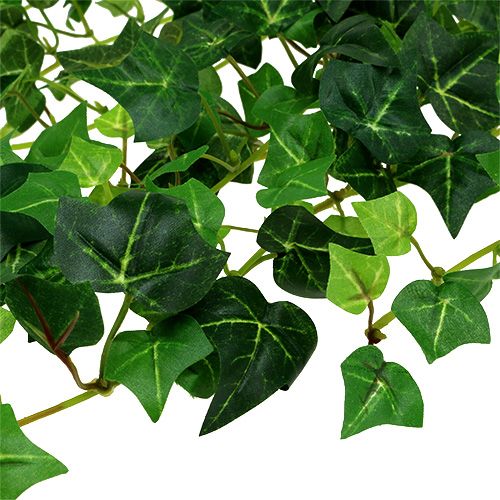 Floristik24 Viticcio di edera verde 70 cm