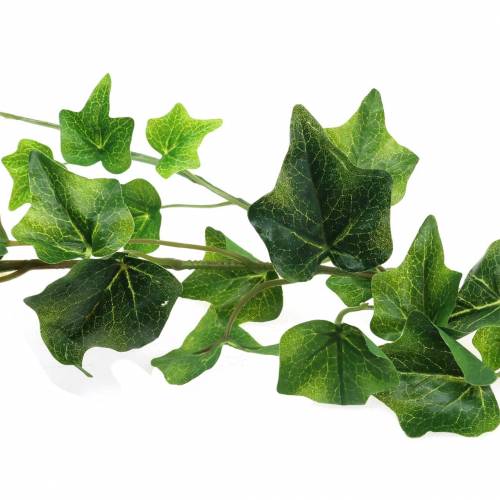 Prodotto Ghirlanda di edera artificiale verde 180 cm 98 foglie