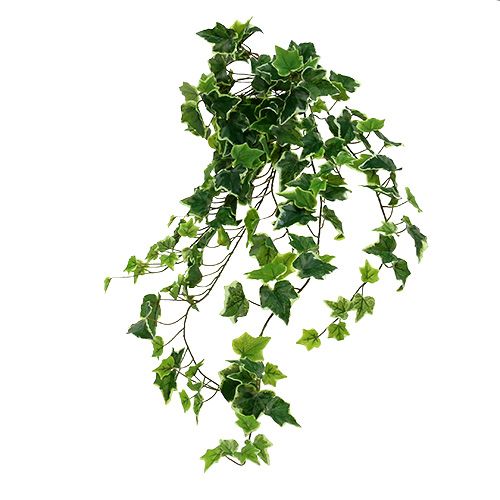 Floristik24 Appendiabiti edera 80 cm bianco-verde