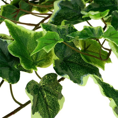 Floristik24 Appendiabiti edera 80 cm bianco-verde