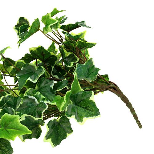 Floristik24 Appendiabiti edera 80 cm bianco-verde