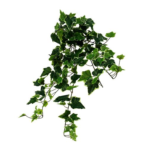Floristik24 Appendiabiti edera bianco-verde 70 cm