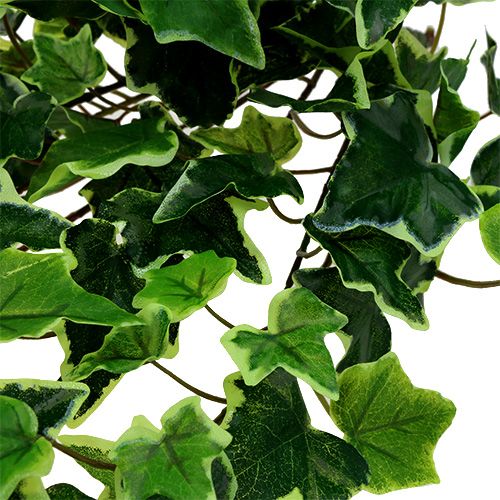 Floristik24 Appendiabiti edera bianco-verde 70 cm