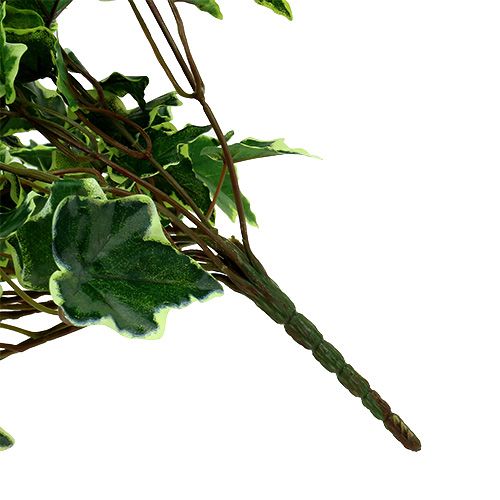 Floristik24 Appendiabiti edera bianco-verde 70 cm