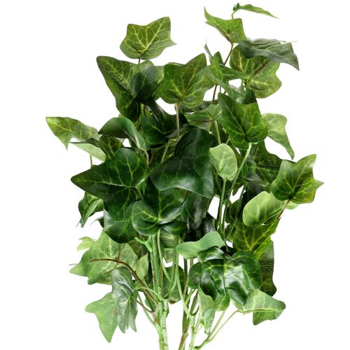 Floristik24 Ivy artificiale verde 50cm Pianta artificiale come vera!