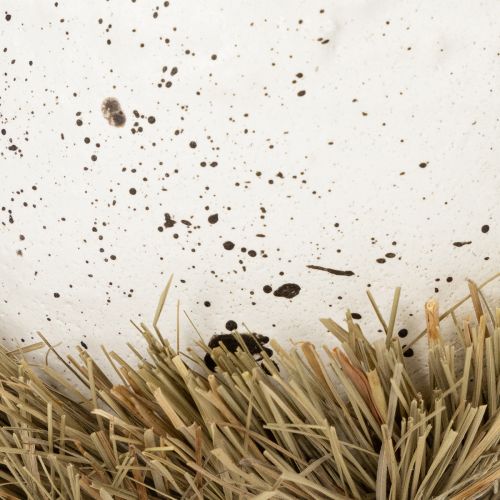 Prodotto Ciotola nido pasquale a forma di uovo per decorazione primaverile 11 cm 4 pezzi