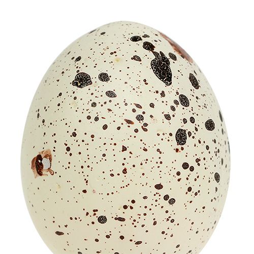 Floristik24 Crema di uova 6 cm di polistirolo 12 pezzi