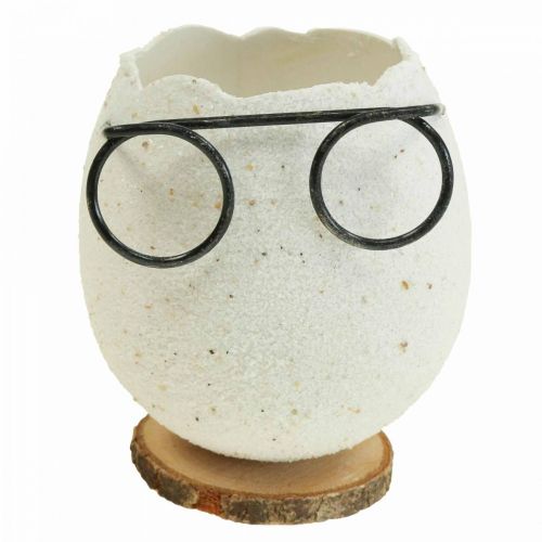 Floristik24 Vaso decorativo uovo con bicchieri decorazione pasquale bianca Ø7,5 cm H9 cm 6 pz
