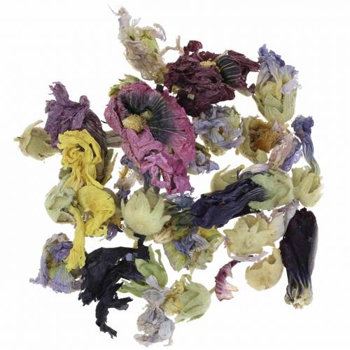 Floristik24 Set artigianale di decorazione a secco, vero marshmallow naturale, pot-pourri di fiori da 300 g