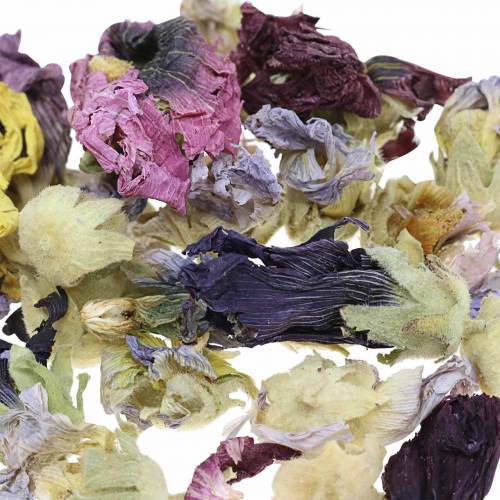 Floristik24 Set artigianale di decorazione a secco, vero marshmallow naturale, pot-pourri di fiori da 300 g
