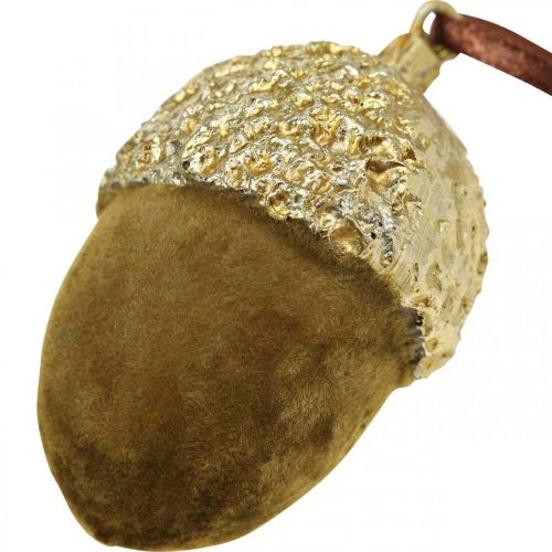 Prodotto Ghiande da appendere, Avvento, decorazione per albero, decorazione autunnale H6,5cm Ø4cm 6 pz