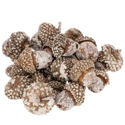 Ghiande, prodotto naturale decorativo, sbiancate, 1-3 cm, 300 g acquistare | Floristik24.it