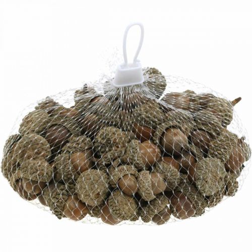 Prodotto Ghiande per decorare, decorazioni autunnali, ovviamente frutti autunnali Ø1,5 - 2,5 cm L1,5 - 3 cm 300 g