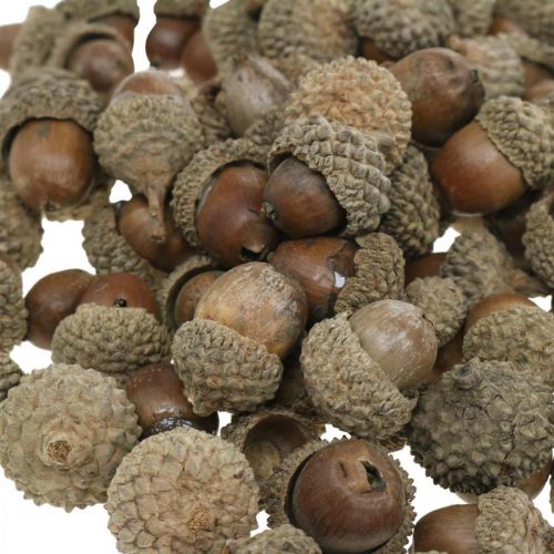 Prodotto Ghiande per decorare, decorazioni autunnali, ovviamente frutti autunnali Ø1,5 - 2,5 cm L1,5 - 3 cm 300 g