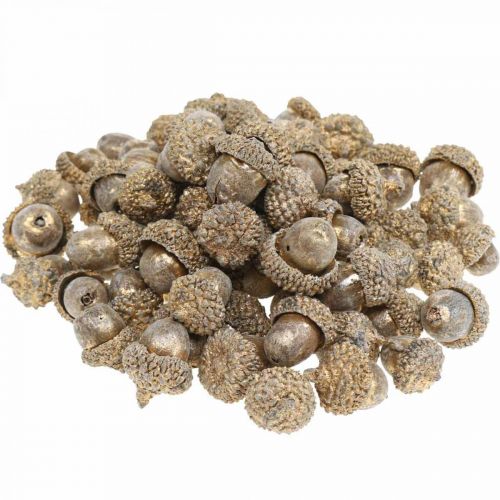 Floristik24 Frutti autunnali dorati, decorazioni festive autunnali, ghiande decorative naturali, decorazioni dell&#39;Avvento Ø1,5 – 2,5 cm L1,5 – 3 cm 300 g