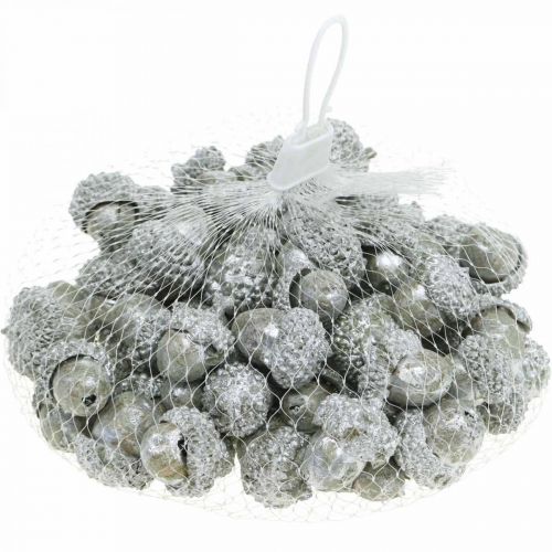 Prodotto Ghiande decorative argento, decorazione dell&#39;Avvento, frutti autunnali naturali, casa di campagna Ø1,5 - 2,5 cm L1,5 - 3 cm 300 g