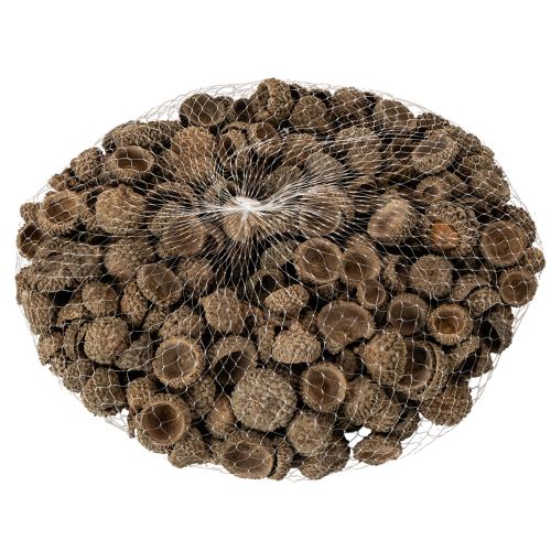 Tappi di ghianda naturali, ciotole decorative per l'autunno e l'Avvento, 2 cm, 300 g | Floristik24.it