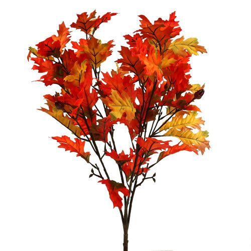 Floristik24 Cespuglio di quercia arancione 56 cm