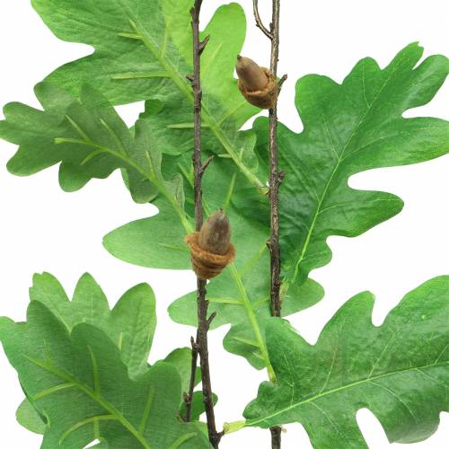 Floristik24 Ramo foglia di quercia verde 115cm