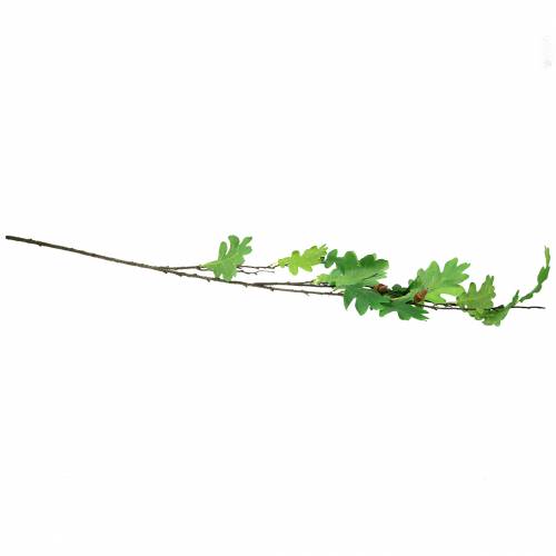 Floristik24 Ramo foglia di quercia verde 115cm
