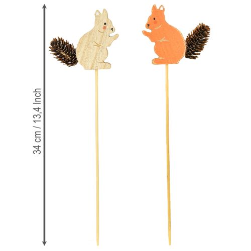 Prodotto Tappi decorativi in legno a forma di scoiattolo, 9×8×1,5 cm, 12 pezzi