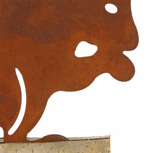 Floristik24 Patina di scoiattolo su base in legno 19cm x 25cm