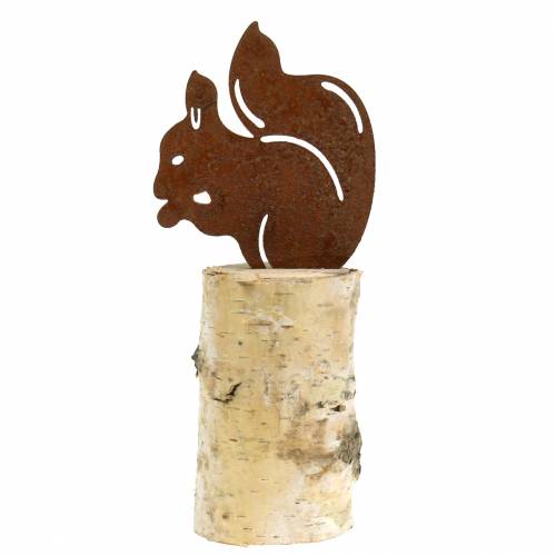 Floristik24 Patina di scoiattolo sul tronco H22cm
