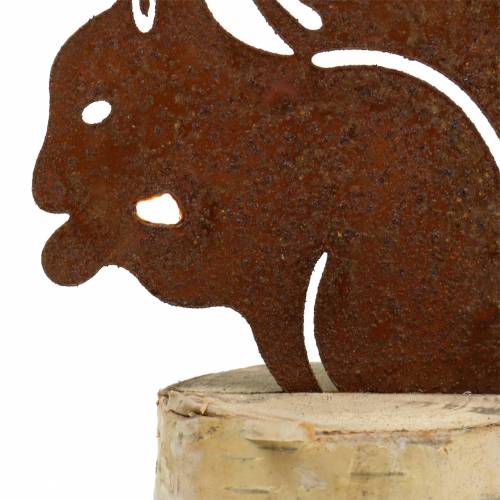 Floristik24 Patina di scoiattolo sul tronco H22cm