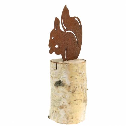 Floristik24 Patina di scoiattolo sul tronco H22cm