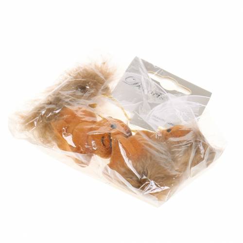 Prodotto Decorazione autunnale appesa scoiattolo marrone set di 2