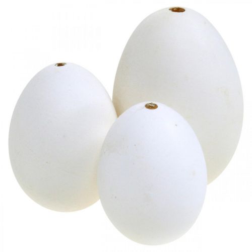 Floristik24 Mix di uova di cigno e uova di gallina, uova soffiate, bianche, 5,5/8 cm, 9 pezzi