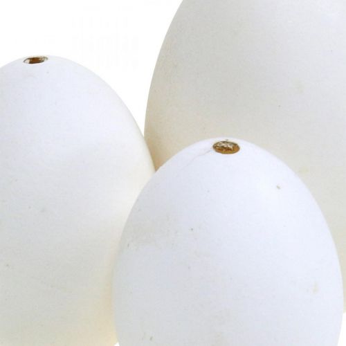 Prodotto Mix di uova di cigno e uova di gallina, uova soffiate, bianche, 5,5/8 cm, 9 pezzi