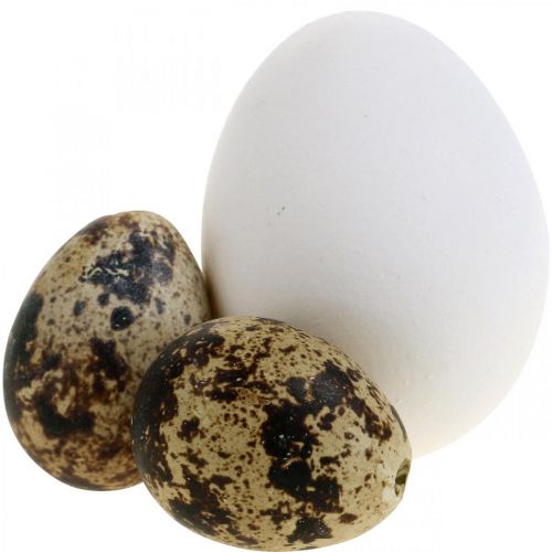 Floristik24 Decorazione uovo mix uova di quaglia e uova di gallina Uova di Pasqua soffiate