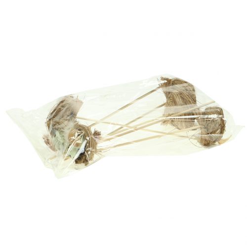 Floristik24 Deco plug nido d'uccello, decorazione pasquale, nido con uova 23 cm 6 pezzi